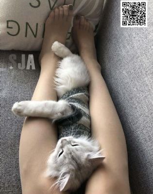 欧美的个人写真_手机MP4字幕高清版在线播放